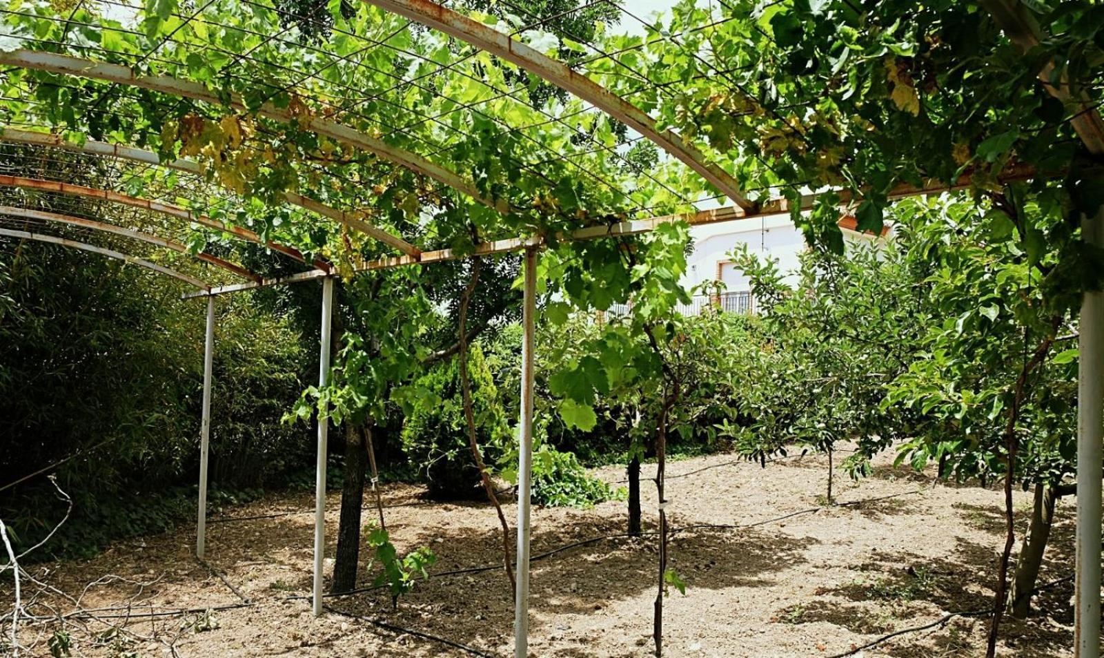 Casa Los Rosales Alfacar Zewnętrze zdjęcie