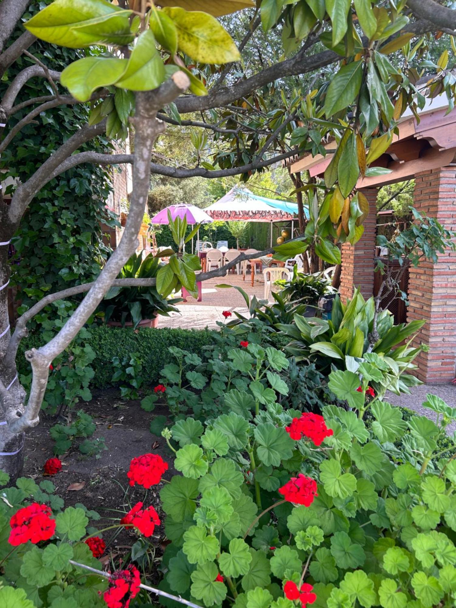Casa Los Rosales Alfacar Zewnętrze zdjęcie