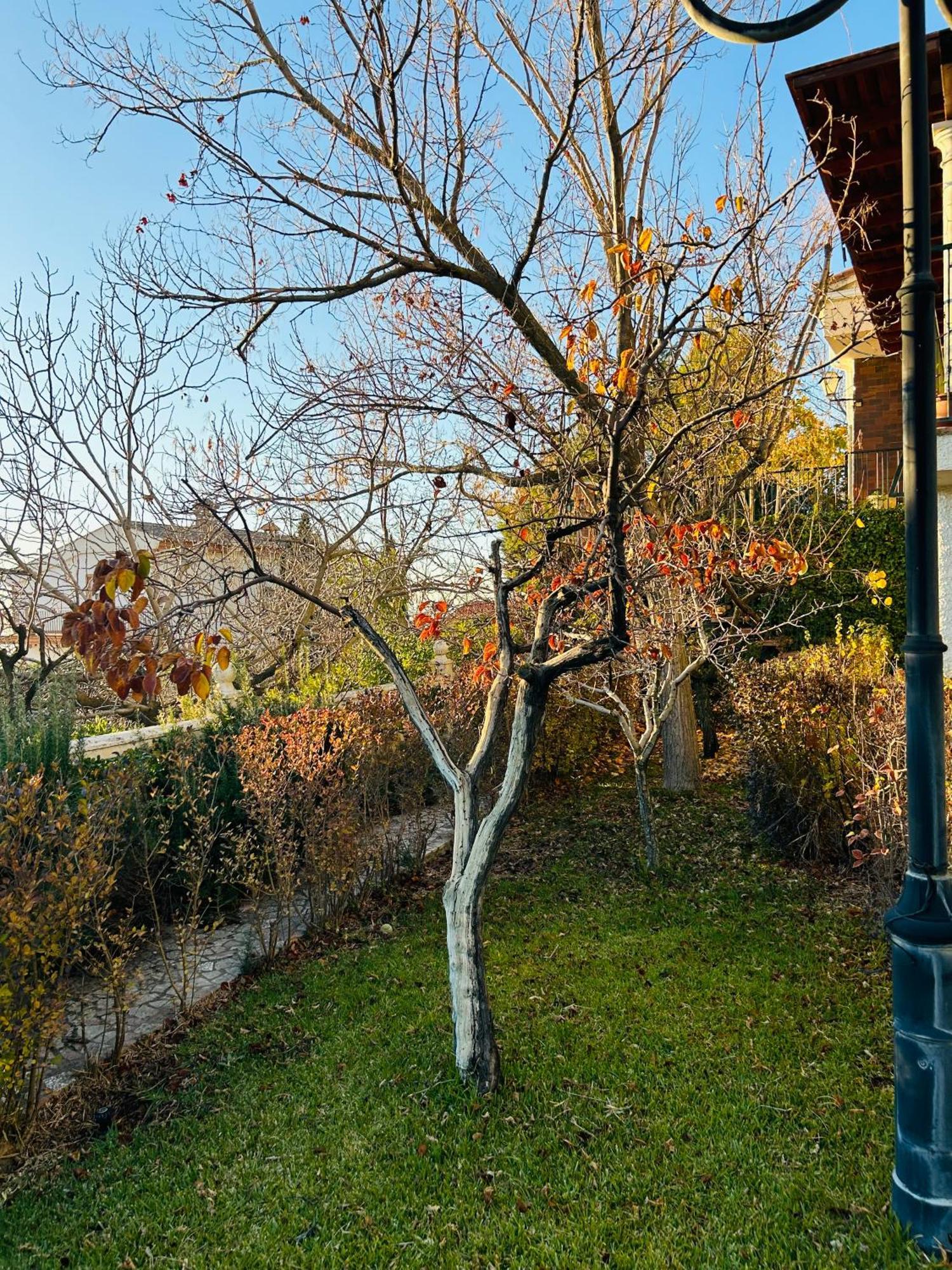 Casa Los Rosales Alfacar Zewnętrze zdjęcie